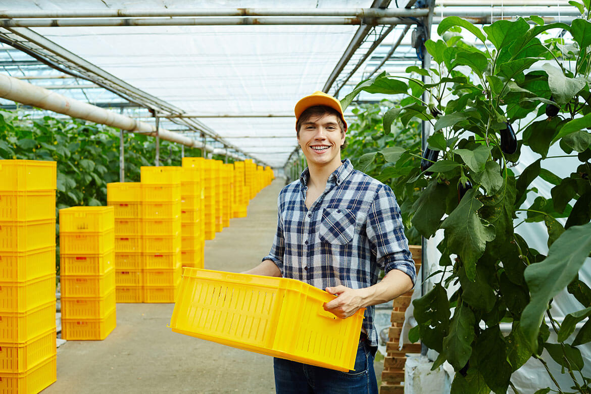 Getrübte Blumenfreude zum Muttertag – Handel transportiert Blumen noch zu selten in Mehrwegverpackungen - Müllberge aus Einwegverpackungen entstehen